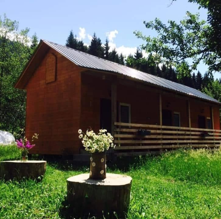 Cottage Shgedi Mestia Kültér fotó