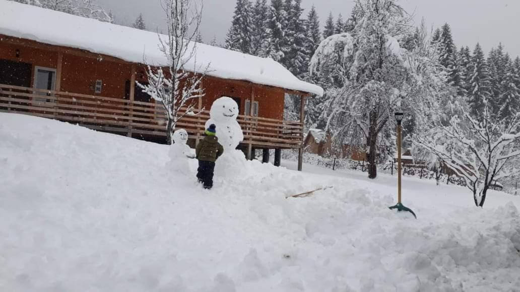 Cottage Shgedi Mestia Kültér fotó