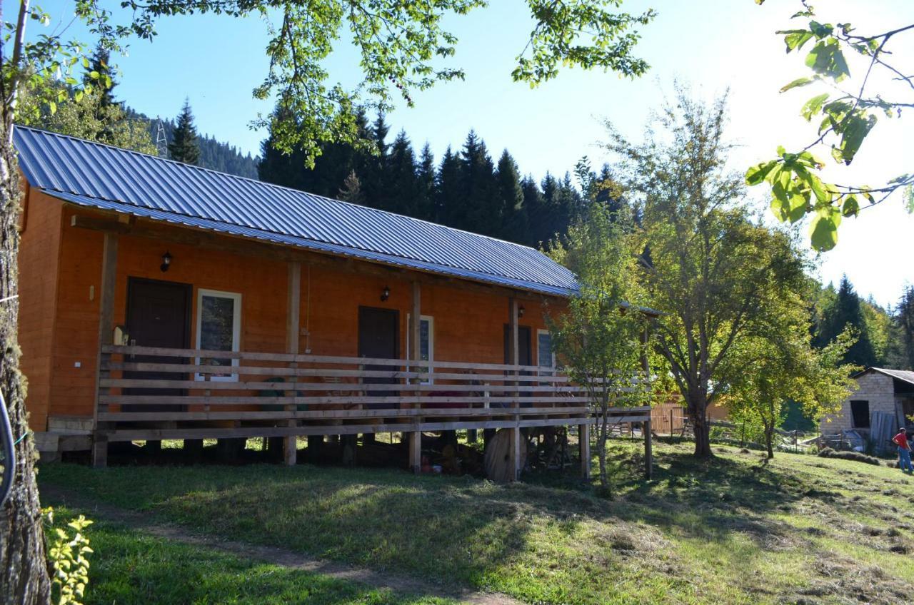 Cottage Shgedi Mestia Kültér fotó