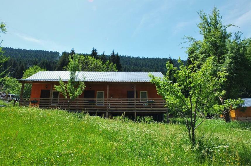 Cottage Shgedi Mestia Kültér fotó