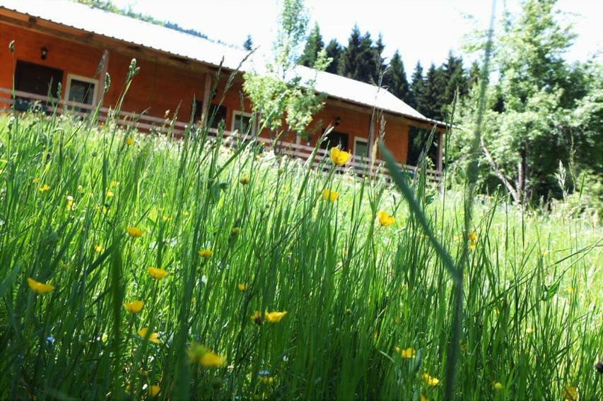 Cottage Shgedi Mestia Kültér fotó